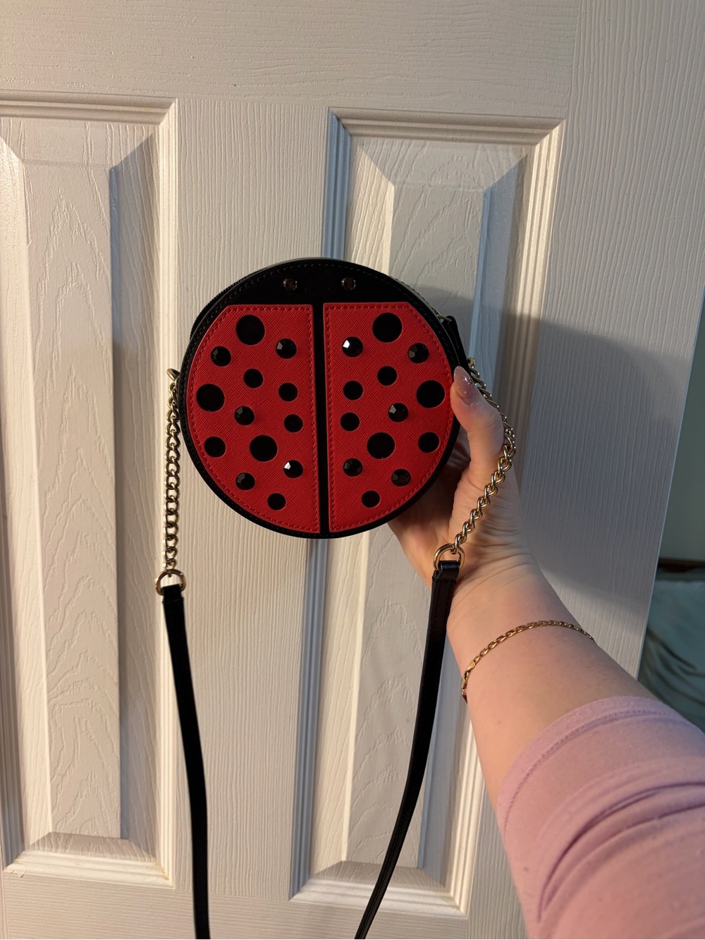 Kate Spade Red Ladybug Crossbody Bag - Women's Fashion